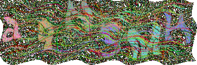 图形验证