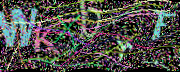 图形验证